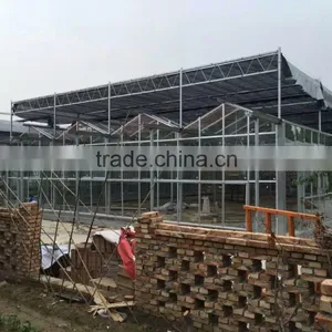 2016 New High Quality Toughened Glass Greenhouse for Arriculture thumbnail-4