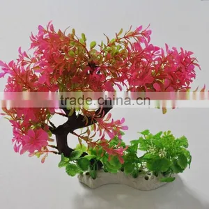 Zhongshan Maxware Wholesale Aquarium Aquatic Plants thumbnail-2