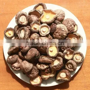 Grade A Shiitake Mushroom thumbnail-1