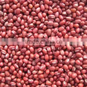 Red Adzuki Beans thumbnail-1
