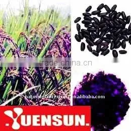 100% Natural Black Rice Extract With 25% Anthocyanidins UV thumbnail-1