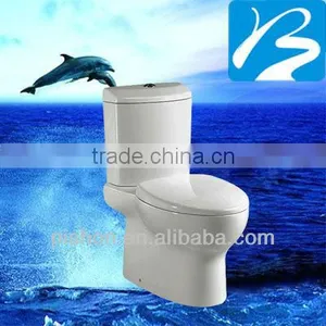 Glavity-Flushing S-trap P-trap Toilet thumbnail-1