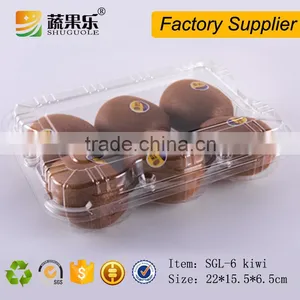 Hot Sale 6 Kiwi Fruit Use Packaging Box thumbnail-1