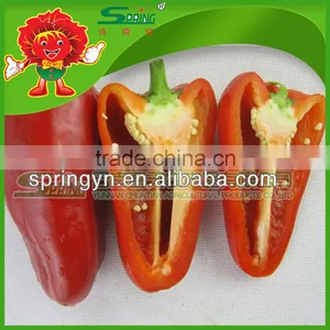 Bell Pepper/Color Pepper thumbnail-3