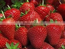 Strawberry thumbnail-2