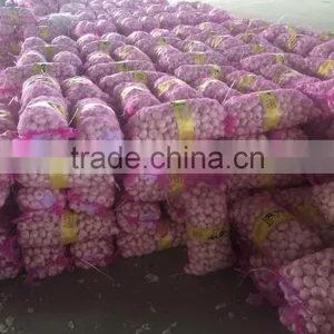 Hot Selling Normal White Fresh Garlic Price thumbnail-6