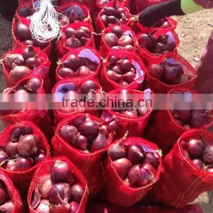 Super Quality Grade a Egyptian Onions thumbnail-1