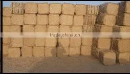 Wheat Straw Bale, Wheat Hay Bale, Straw Hay Bale, Hay Straw Bale, Wheat Straw Hay thumbnail-1