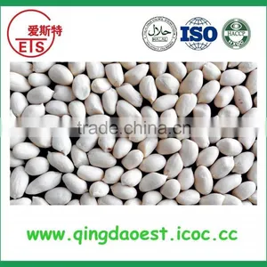 Blanched Peanut Kernel in Peeled Processing thumbnail-5