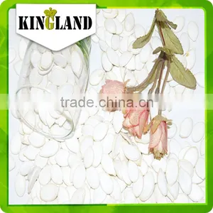 All Size Snow White Pumpkin Seeds is Available thumbnail-3