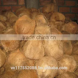 Vietmam Mature Coconut thumbnail-3