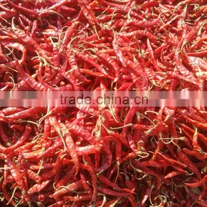 Chillies Sanam M/B Withstem thumbnail-5