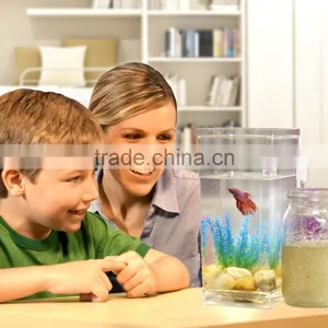 Kawachi New Design Fun Fish Cleaning Tank Fish Aquarium thumbnail-1