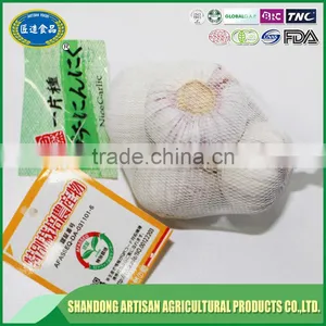 Fresh Single Clove Garlic thumbnail-4
