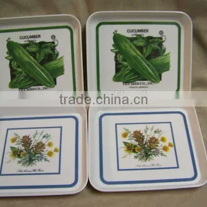High Hardness Transparent Acrylic Snack Tray,acrylic Food Tray thumbnail-1
