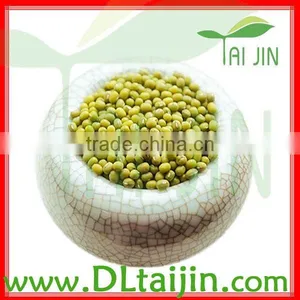 Big Size Sprouting GREEN MUNG BEAN,3.6mm--4.0mm thumbnail-1