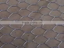 Hexagonal Wire Mesh thumbnail-1