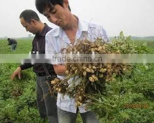 Chitosan for Agriculture Plant Soil Regulator and Root Promotor thumbnail-3