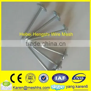 Roofing Coil Nails thumbnail-2