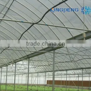 Agricultural Plastic Film Greenhouse With Arch Roof thumbnail-1
