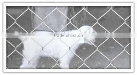 Tension Wire Chain Link Fence thumbnail-1