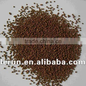 Stainless Steel Fish Feed Extruder Machine thumbnail-1