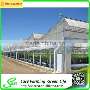Natural Color Aluminium Profiles Greenhouse for Agricultural thumbnail-1