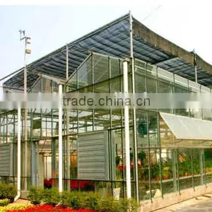 Venlo Type Commercial Used Glass Greenhouse for Sale thumbnail-1