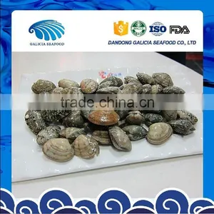 Clam Variety Frozen Half-Shell Baby Clam thumbnail-1