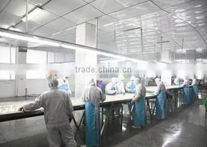 Dandong Taihua Foodstuff Co., Ltd. company overview - view 2 thumbnail