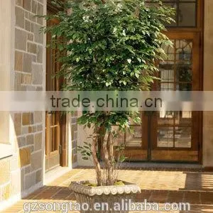 Hot Sale Bonsai Plant Artificial Ficus Tree for Indoor &outdoor Decor thumbnail-6
