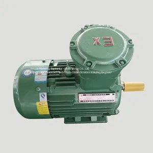 HenanTYBPE (X)-DIIBT4Characteristics of Rare Earth Permanent Magnet Explosion - Proof Motor thumbnail-1