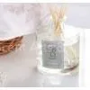 Scented Vanilla Glass Oil Reed Diffuser, Perfume Diffuser With 6 Sticks and Plastic Cap TS-RD16 thumbnail-1
