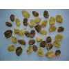 Kellog Corn Flakes Machine Cheap thumbnail-1