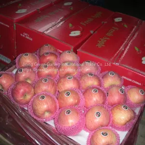 Chinese Fuji Apple thumbnail-3