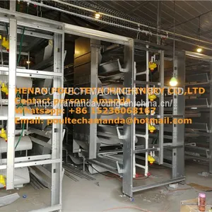 Mexico Chicken Farm H Type Automatic Chicks Cage & Pullet Cage in Brooding Room With Poultry Climate Control thumbnail-1