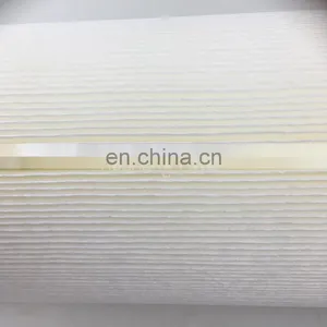 Factory Supplier Water Filter For Housing Swimming Pool,Spa Filter Cartridge thumbnail-4