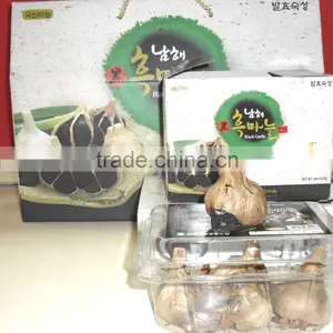 Black Garlic thumbnail-4