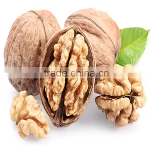 Light Amber Quarters Walnut Kernels thumbnail-1