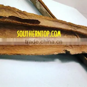 Vietnam Cassia thumbnail-1