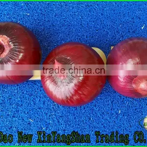Mesh Bag/carton Packaging Red One Onion Prices thumbnail-1