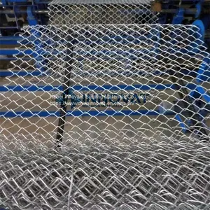 Galvanized PVC Coated Chain Link Fence thumbnail-2