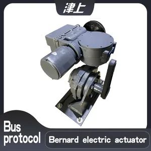 Bernard Switch Type Electric Actuator B+RS250/K40H Partial Rotary Electric Actuator thumbnail-1