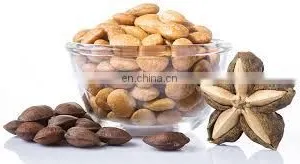 100% Organic Sacha Inchi Wholesale/Supply SACHA INCHI From VIETNAM With Good Price thumbnail-3