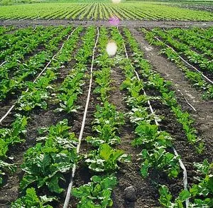 Flat Drip Irrigation Pipe Production Line thumbnail-5