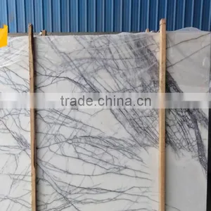 Top Grade Natural Polished Heaven Bird Wall Cladding Marble Tiles thumbnail-6