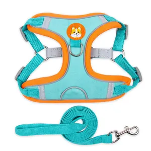 Pet Harness Small Dog With Leash Set thumbnail-2