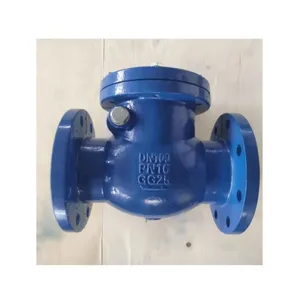 DIN/GB Standard DN150 PN16 GG25 Cast Iron GGG50 Flange Non Return Check Valve Swing Ball Check Valve thumbnail-1