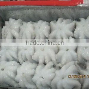 Frozen Seafood Baby Octopus Whole Round thumbnail-1