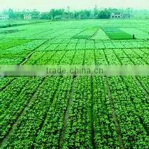 Anqiu Luda International Trade Co., Ltd. company overview - view 3 thumbnail